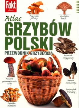 ATLAS GRZYBÓW POLSKI