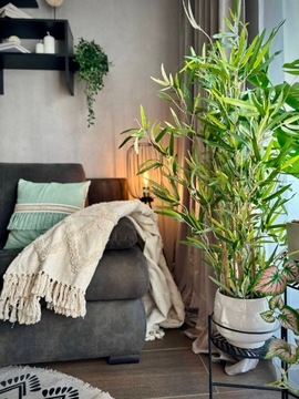 БАМБУК В ГОРШКЕ, ИСКУССТВЕННОЕ ЗЕЛЕНОЕ РАСТЕНИЕ, 90 см