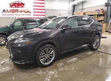 Lexus NX II 2022 Lexus NX 350H 2022 2.5l 2.5 Hybryda 240KM