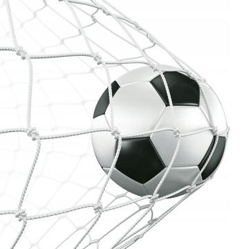 FOTOTAPETA PIŁKARSKA GOL PIŁKA BRAMKA 395x280
