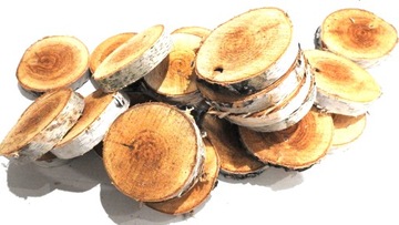 СРЕЗ ДЕРЕВА, КРУГ БЕРЕЗОВОЙ ШТАМПЫ 9-14СМ, 1 ШТ.