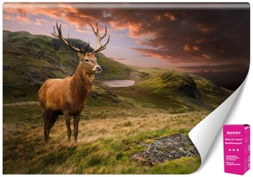TAPETY ŚCIENNE FOTOTAPETA 3D JELEŃ GÓRY NATURA