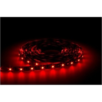 Taśma LED 12W czerwona 2835 300LED/5m HIGH LUMEN