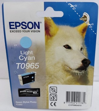 Epson Tusz Light Cyan T0965 R2880 Oryginalny