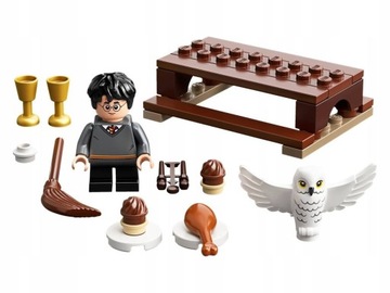 LEGO Harry Potter 30420 Гарри и Хедвиг