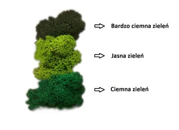 Картина от Хроботки ПРЕМИУМ 50х50см мох на стену