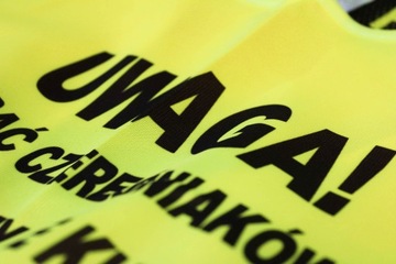 Светоотражающий жилет OHS с ПРИНТОМ, ТОЛСТАЯ XXL