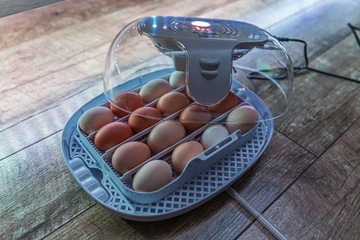 ИНКУБАТОР HATTER EGG HATTER INCHATING 16 ЯИЦ