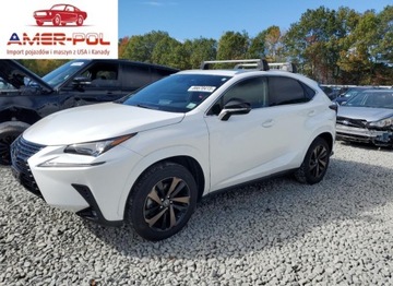 Lexus NX I 2020 Lexus NX 300 2020 2.0L 2.0 Benzyna 235KM
