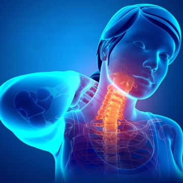 ПОДУШКА ДЛЯ ШЕИ АВТОМОБИЛЯ ВНУТРИ