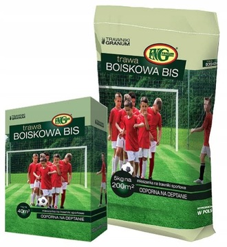 Trawa mieszanka BOISKOWA Bis 5 kg/200 m2 Odporna