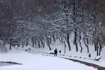 ДОРОЖНАЯ СОЛЬ 20 КГ АНТИСКЛЕИВАНИЕ Антилед Лед Снег + БЕСПЛАТНЫЙ ЦИФРОВОЙ ПОСТЕР
