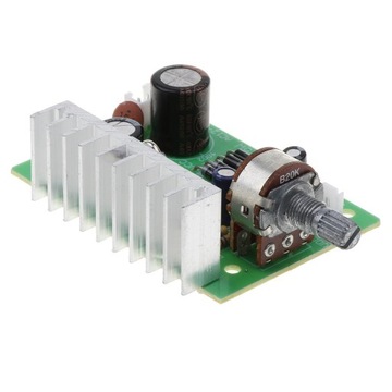 Mono Audio Power Amplifier Board DIY Module 20W