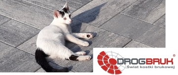 Брусчатка MODERNO INVERNO DROGBRUK