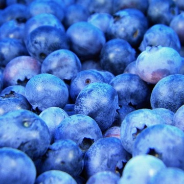 Сироп для газировки FruttaMax BLUEBERRY карбонизатор 500 мл на 12 л