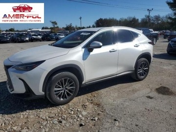 Lexus NX II 2022