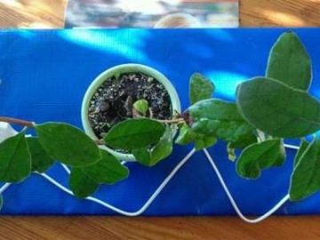 Нагревательный мат для рассады 