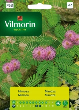 VILMORIN NASIONA MIMOZA WSTYDLIWA 0,8G OZDOBNA ROŚLINA WIELOLETNIA DO DOMU