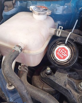 ОТПУСКАТЕЛЬ КУНИЦЫ ЭФФЕКТИВЕН ОТ АЛЛЕГРО МУЖЧИН ОТПУСКАТЕЛЬ ДЛЯ АВТОМОБИЛЯ