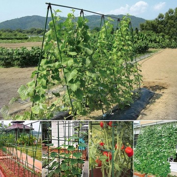 РАМА Опорная сетка для огурцов и помидоров 150 см. ПОДДЕРЖКА ДЛЯ СТОЙКИ