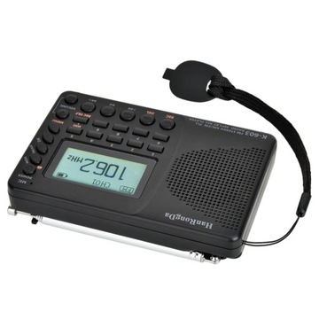 Портативное цифровое радио Bluetooth AM FM SW полнодиапазонный USB 1000 мАч REC