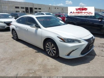 Lexus ES VII (XV70) 2019 Lexus ES 300h, 2019r., 2.5L 2.5 Benzyna 176KM