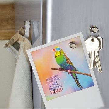 Недимийский магнит на бортовом офисном холодильнике для школы 12x16 мм 10 шт.