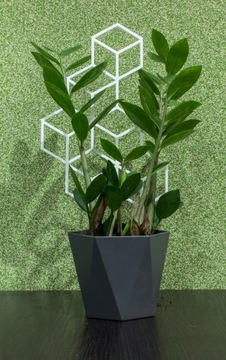 PODPÓRKA KWIATÓW ROŚLIN DRABINKA PERGOLA 37cm