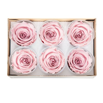 Цветочная коробка розовая ETERNAL ROSES от Roses Atelier