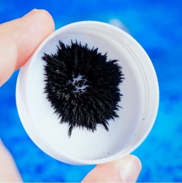 I'm a genius Magnetyzm Ponad 50 doświadczeń