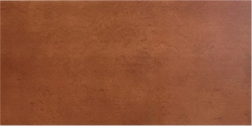 PANEL ŚCIENNY 100X50 BLACHA CORTEN RDZA MIEDŹ 7114