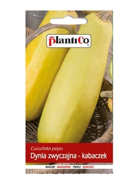 Dynia zwyczajna KABACZEK nasiona