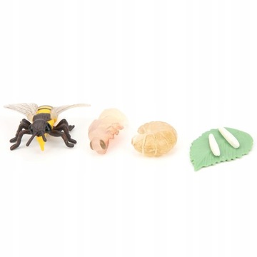 Игрушечная модель насекомого, цикл роста медоносной пчелы