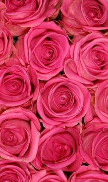 Ароматизатор для свечей, воск, аромамасло 30мл РОЗА