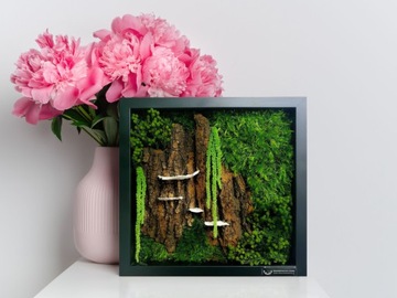 Mech PŁASKI średni zielony szwedzki 200g netto Dekoracyjny żywy ozdobny