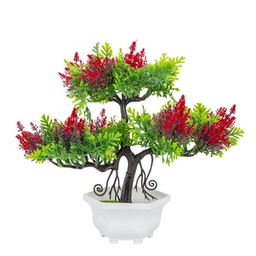 DRZEWKO BONSAI KWIAT ROŚLINA W DONICZCE OZDOBA
