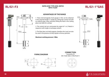 Указатель уровня RL/G1-F3-S2 A=500мм + монтажный комплект (5 шт.) - F.lli Gia