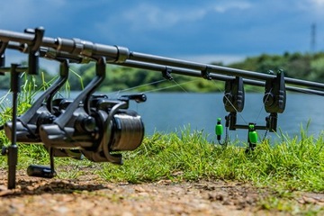 ЗЕЛЕНЫЙ СИГНАЛИЗАЦИЯ FOX MINI MICRON