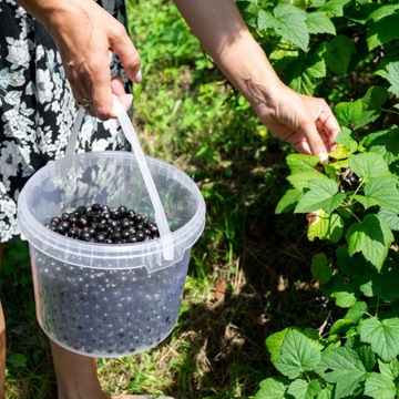 Ведро пластиковое с крышкой, пищевое, 5л.