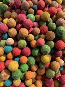 Kulki proteinowe zanętowe MIX SMAKÓW 1 kg