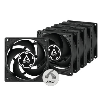 Arctic P8 PWM PST Value Pack 80mm Czarny 5szt.