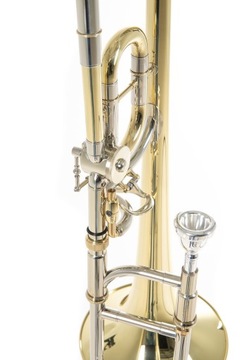 ROY BENSON TT-220 Детский тромбон Bb/C