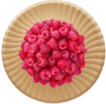 TALERZE PAPIEROWE KRAFT EKOLOGICZNE JEDNORAZOWE CATERING 23CM 100SZT
