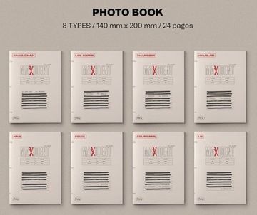 {{{ STRAY KIDS - MAXIDENT - CASE VER.