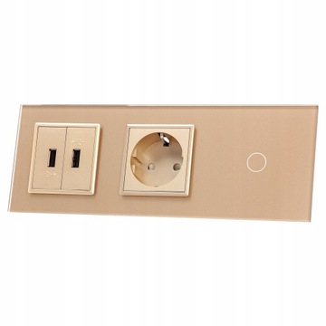 701G2USB-63 Włącznik pojedyn.+gniazdo+2xUSB LIVOLO