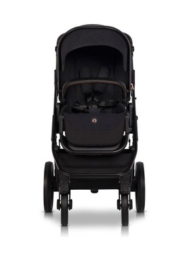 CAVOE AXO STYLE LA ROSE 2IN1+ СУМКА коляска