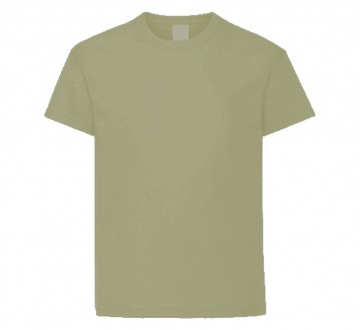 KOSZULKA DZIECIĘCA T SHIRT BLUZKA BAWEŁNA BEŻ 122