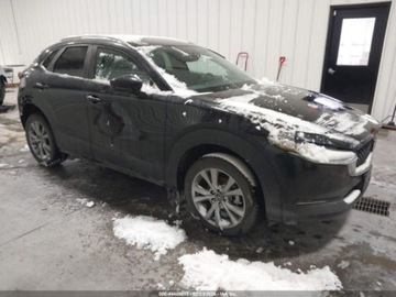 Mazda CX-30 2023 Mazda CX-30 2023 MAZDA CX-30 2.5 S SELECT 2.5 Benzyna 191KM, zdjęcie 10