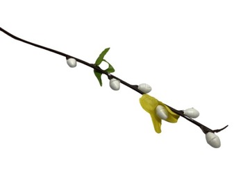 КАТТИ ФОРСИТИЯ ПЕРЕХОДЫ CLICK FLOWERS TRANGE