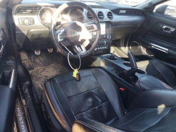 Ford Mustang VI Fastback Facelifting 5.0 Ti-VCT 450KM 2018 Ford Mustang Gt 2018 5.0 Benzyna 450KM, zdjęcie 8